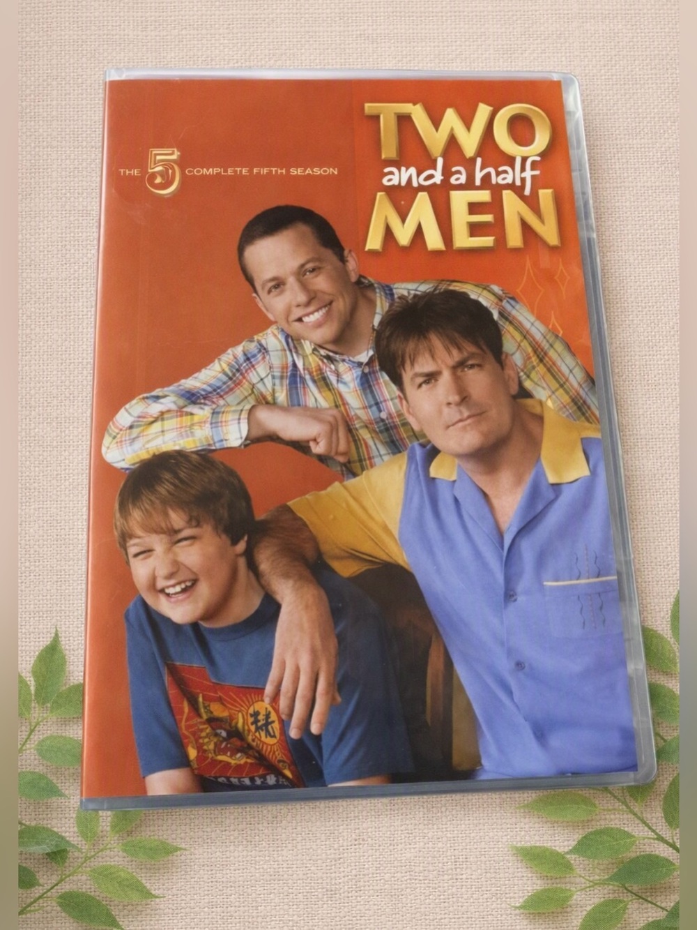 📀 Two and a Half Men – The Complete Fifth Season (DVD)
